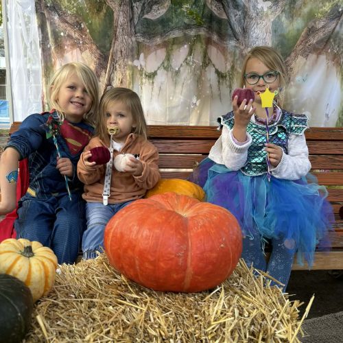 Le marché enchanté